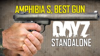 DayZ Standalone: Amphibia S, Best Gun