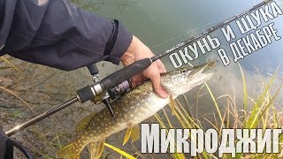 МИКРОДЖИГ | Ловля окуня и щуки в декабре