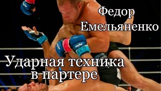 Федор Емельяненко: "Ударная техника в партере"