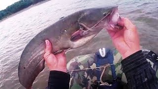 Рыбалка на перемёт,  первая рыба ! Ловля сома на перемёт