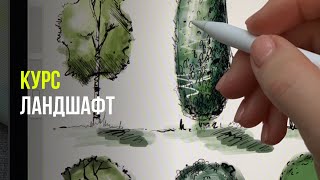 Курс - Ландшафтный скетчинг / Как научиться рисовать? / Основы скетчинга