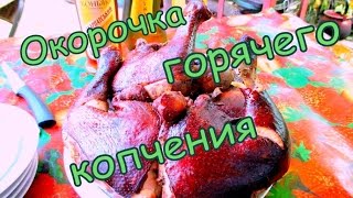 Куриные окорочка горячего копчения. Chicken legs smoked.