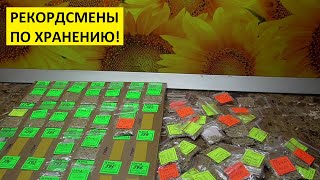 Как хранить семена томатов? Сколько лет?
