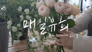 [매일유희vlog] 플로리스트 브이로그, 함께 일하는 신혼부부의 퇴근 후 일상
