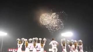 乱闘、プロ野球