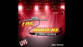 37 semanas los huaches en vivo