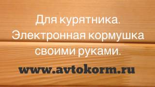 ЭЛЕКТРОННАЯ КОРМУШКА ДЛЯ КУРЯТНИКА СВОИМИ РУКАМИ