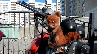 Тормоза придумали трусы?