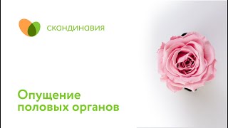 Опущение половых органов: причины, диагностика, лечение