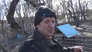 КАК ЗАВОДИЛ ХОЗЯЙСТВО С НОЛЯ ИЛИ КАКОЕ МЯСО ВКУСНЕЕ ?????