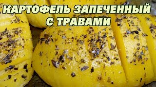 Картофель запеченный с духовке. Картофель в духовке. Рецепт.