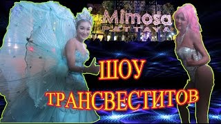 Тайланд - Шоу трансвеститов в Мимозе