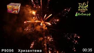 Салют ХРИЗАНТЕМА Р9096