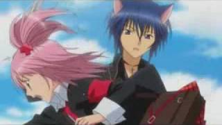 Shugo Chara AMV