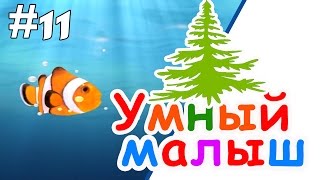 Умный малыш #11. Развивающий мультфильм для малышей / Smart baby #11. Наше_всё!