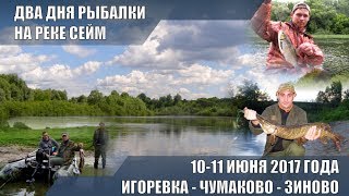 РЕКА СЕЙМ. ДВА ДНЯ РЫБАЛКИ СО СПИННИНГОМ. ИГОРЕВКА - ЧУМАКОВО - ЗИНОВО. 10-11 ИЮНЯ 2017 г.