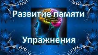 Развитие памяти - упражнения. Эффективные упражнения для развития памяти.