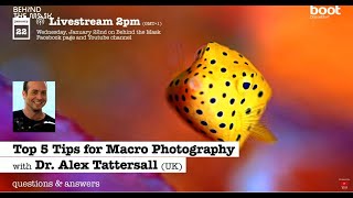 TOP 5 TIPS FOR MACRO PHOTOGRAPHY with Dr. Alex Tattersall