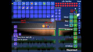 Terraria: projet château #1
