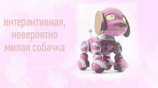 РОБОТ-ЩЕНОК ЗАППИ КЭНДИ ZOOMER (ЗУМЕР)
