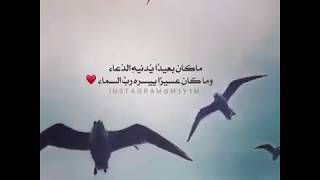حالات واتس اب دينيه|•|اناشيد إسلاميه|•|مقاطع انستقرام دينيه قصيره