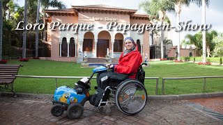 Loro Parque  Papageien Show 2016