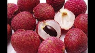 Bài thuốc chữa viêm xoang bằng vỏ quả vải đơn giản và hiệu quả - chữa viêm xoang bằng đông y