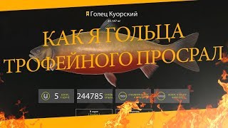 Как я гольца арктического просрал