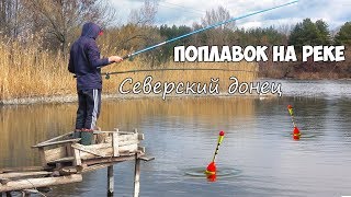 Ловля на поплавок весной! РЫБАЛКА на ПОПЛАВОЧНУЮ УДОЧКУ на СЕВЕРСКОМ ДОНЦЕ