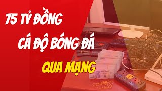 Triệt phá đường dây cá độ bóng đá "siêu khủng" tại Nghệ An