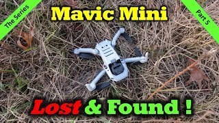 I Crashed the Mavic Mini and Found it With The DJI Fly App