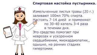 Настойка пустырника инструкция по применению рецептов лечения