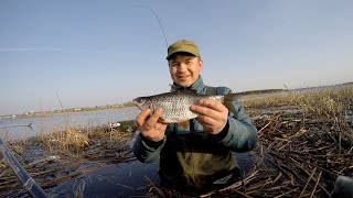 РЫБАЛКА НА ПЛОТВУ ВЕСНОЙ: ЛОВЛЯ ПЛОТВЫ В АПРЕЛЕ, КОГДА КЛЮЕТ ПЛОТВА , КАК ЛОВИТЬ ПЛОТВУ