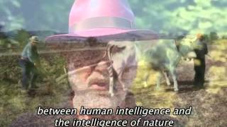 Michelangelo Pistoletto - "Il Terzo Paradiso"