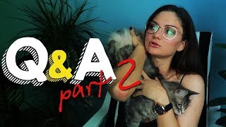 КАК ЖЕ ВСЕ-ТАКИ ДЕРЖАТЬ КОШКУ КОШЕЧКУ? (ИНСТРУКТОРЫ,  ЛИЗЗКА, ПОХУДЕНИЕ)