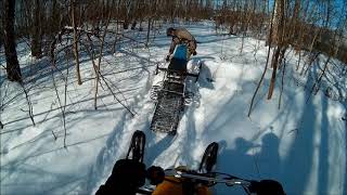 на самодельных снегоходах через лес