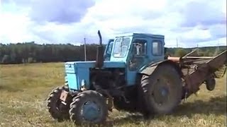 трактор т 40ам