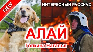 "АЛАЙ" - ОЧЕНЬ ИНТЕРЕСНЫЙ РАССКАЗ. Новинка 2020 | Голкина Наталья | Интересный Христианский Рассказ