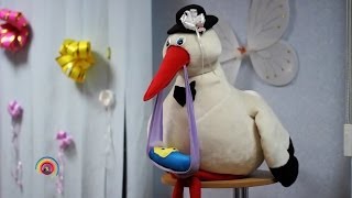 Видеосъёмка в Феодосии. Выписка из роддома в Симферополе.