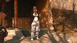 Rare Shaolin Kung Fu Form - Xiao Jin Gang Quan