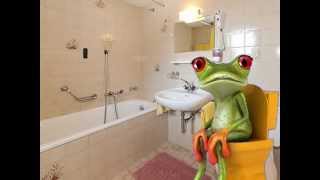 Lustige Frosch witze filge 12  Versaute witz, Blondine witz, Party witze