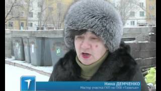 «Крысы-мутанты» появились в Кокшетау