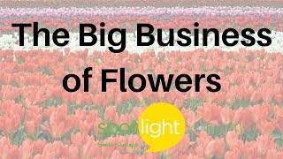"The Big Business of Flowers" - practice English with Spotlight