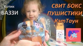СВИТ БОКС ПУШИСТИКИ Коллекция 2. Игрушка котенок.