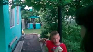 Кормим козачек и курочек и тети Маши на даче. Часть первая.