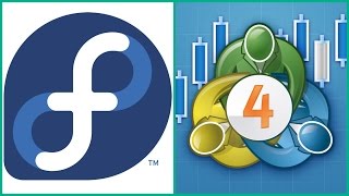 How to install MetaTrader 4 (MT4) on Fedora 25