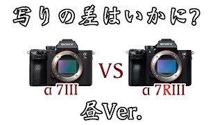 注目のミラーレス機、α7IIIとα7RIIIの解像感を比較してみたよっ！【 SONY機 検証】