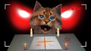 Я РАЗОЗЛИЛ ПРИЗРАКА ЧАРЛИ? ОБЩЕНИЕ С ПРИЗРАКОМ через КАРАНДАШ и БУМАГУ! Charlie Charlie Pencil Game