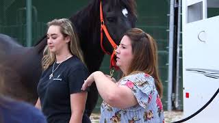 Janell McMullan - May 2018 Teacher Feature