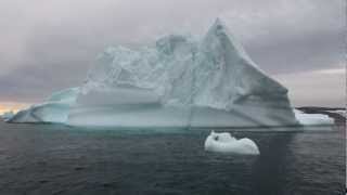arctique